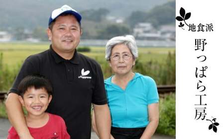 【ふるさと納税】＜【3回定期便】柑橘の皮入り☆限定！贅沢パン ＞天然酵母 パン ワインとの相性抜群 レーズン くるみ どっしり きめが細かい ハードパン 自家製酵母 450g×2個を3回連続でお届け！