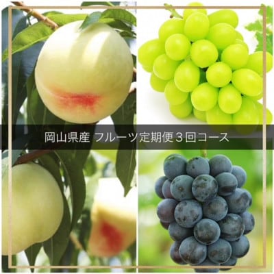 【発送月固定定期便】岡山県産 フルーツ定期便全3回【配送不可地域：離島・北海道・沖縄】【4055524】
