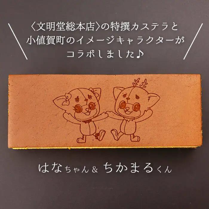 【全6回定期便】 おぢか焼印 特撰 カステラ 580g 1箱 「ちかまるくん」 文明堂 [DBF007] カステラ