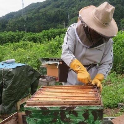 ふるさと納税 都留市 都留の富士山はちみつ・食べ比べ3本セット種類はおまかせ(170g×3) |  | 03