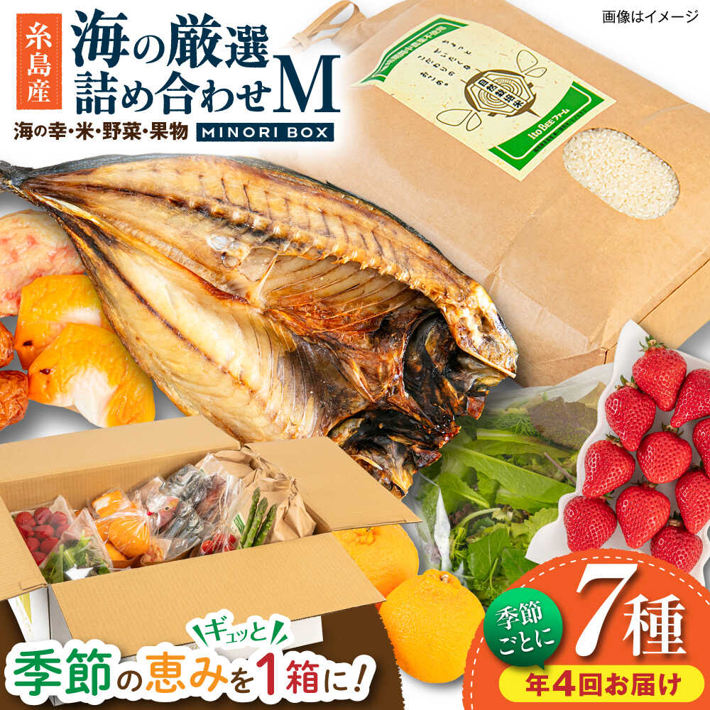 【ふるさと納税】【全4回定期便】 糸島産 魚 米 野菜 果物 厳選詰め合わせ MINORI BOX Mサイズ【季節ごとに年4回お届け】 糸島市 / emma.Inc / 米 魚 野菜 果物 詰め合わせ[AOP005] セット 旬 106000円 10万円