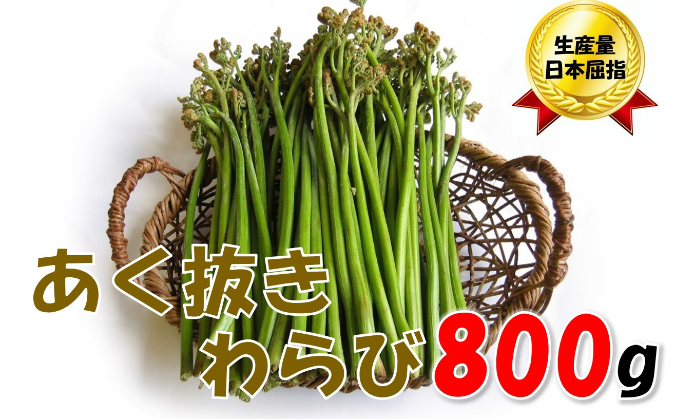 
                  【通常配送】採れたて山菜　あく抜きわらび　200ｇ×4束
                