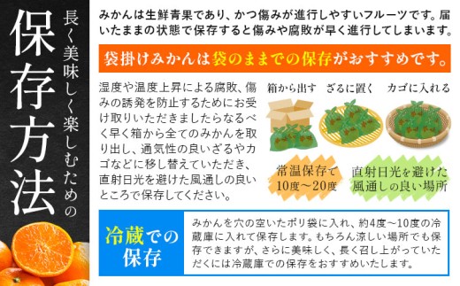 【糖度13度以上！】袋掛けみかん 夢味 ときめき 贈答用 熊本県産 約3kg (大or中) 柑橘《2027年1月中旬-2月中旬頃出荷》 みかん 特選 ミカン フルーツ 果物 3kg 苓北町産 熊本県 