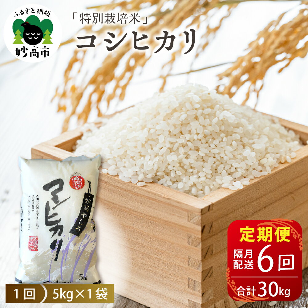【ふるさと納税】【先行予約】 令和7年産 【定期便：隔月6回】新潟県 妙高やしろ米 コシヒカリ 30kg ( 5kg × 6回 ) 【11月中旬より発送】 定期便 隔月 お米 米 コメ 精米 新潟 妙高市 米どころ こめ ご飯 ごはん ライス 弁当