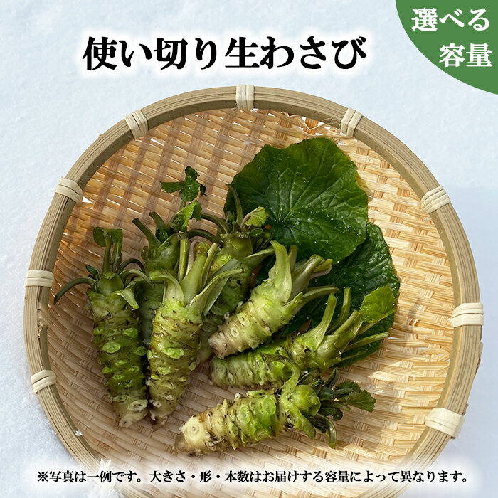 【ふるさと納税】 岩手県産 わさび 山葵 安比清流山葵園 生わさび 使い切りサイズ 選べる容量 100g 200g 300g ／ 生 生山葵 生ワサビ ワサビ 調味料 薬味 辛味 小ぶり 使い切り 小さめ ミニ 新鮮 肉の薬味 魚の薬味 そばの薬味 産地直送 おすすめ 岩手県 八幡平市 送料無料