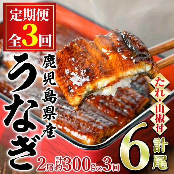 ＜定期便・全3回＞東串良町 うなぎ 蒲焼 (無頭)(2尾・計約300g・タレ、山椒付×3回) 高級 ウナギ 鰻 国産 たれ 鹿児島 ふるさと 人気【アクアおおすみ】【0304303b】