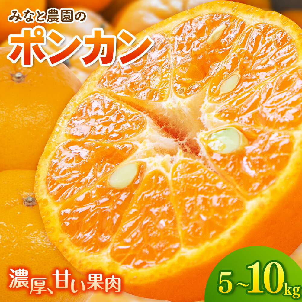 【ふるさと納税】 【数量限定】みなと農園の ポンカン 5kg 10kg 選べる容量 みかん ミカン mikan 蜜柑 ポンカン 柑橘 フルーツ 果物 くだもの 甘い 旬 人気 産地直送 三重県 熊野市 送料無料【2027年2月上旬頃〜順次発送】