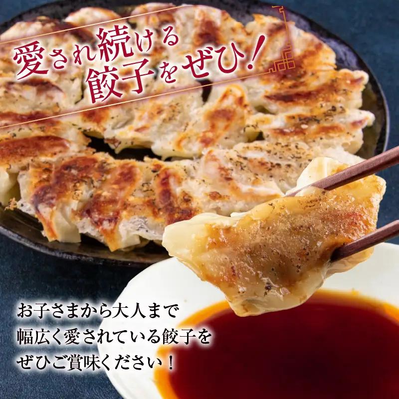焼くだけ!! 簡単調理 焼肉餃子 10個 × 10パック 計100個_BD105-25
