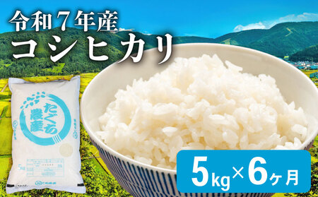 新米 令和7年産 こしひかり 5kg 6ヶ月定期便 新米 新米 新米 新米 新米 新米