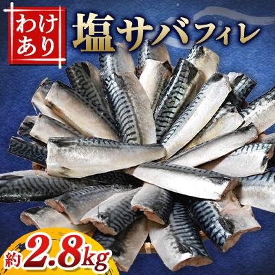 ふるさと納税 銚子市 【訳あり】定塩ノルウェーさばフィレ　約2.8kg