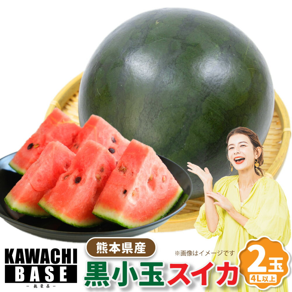 【ふるさと納税】熊本県産 黒小玉スイカ 2玉 4L以上 ｜スイカ すいか 西瓜 くだもの 果物 果実 フルーツ 九州 熊本県 送料無料 【2026年6月上旬発送開始】