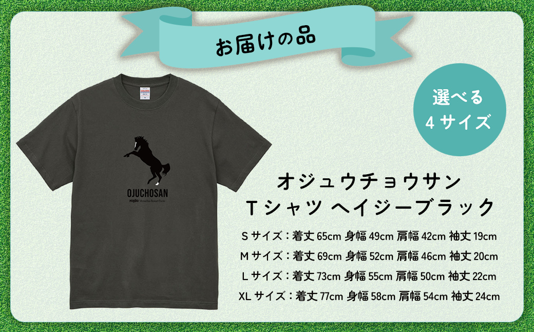 【オジュウチョウサン】Ｔシャツ _Ｓサイズ（ヘイジーブラック）  BRTV004-1