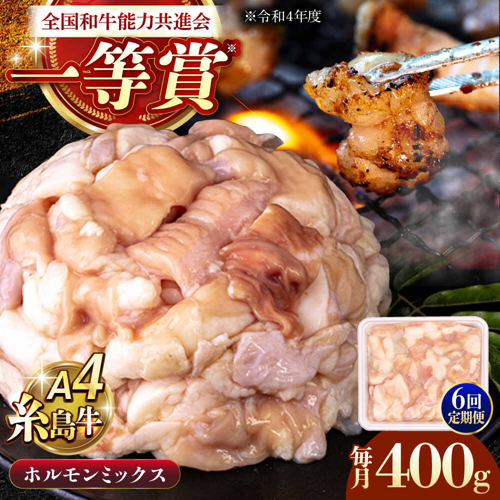 【ふるさと納税】【全6回定期便】A4ランク 和牛 ホルモンミックス 400g もつ鍋 ホルモン焼き 糸島牛 糸島市 / 一番田舎[AGN016] 黒毛和牛 冷凍配送 53000円 5万3千円