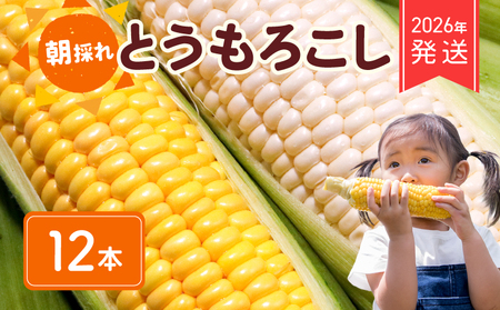 【 2026年 先行予約 】 とうもろこし 白 ＆ 黄色 12本 食べ比べ 【 とうもろこし 】