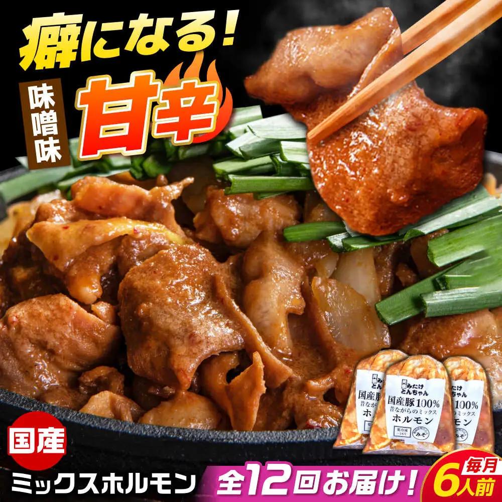 【12回定期便】昔ながらのミックスホルモン 3袋（6人前） / モツ もつ レバー ホルモン / 御嵩町 / 藤よし[AVAA087]