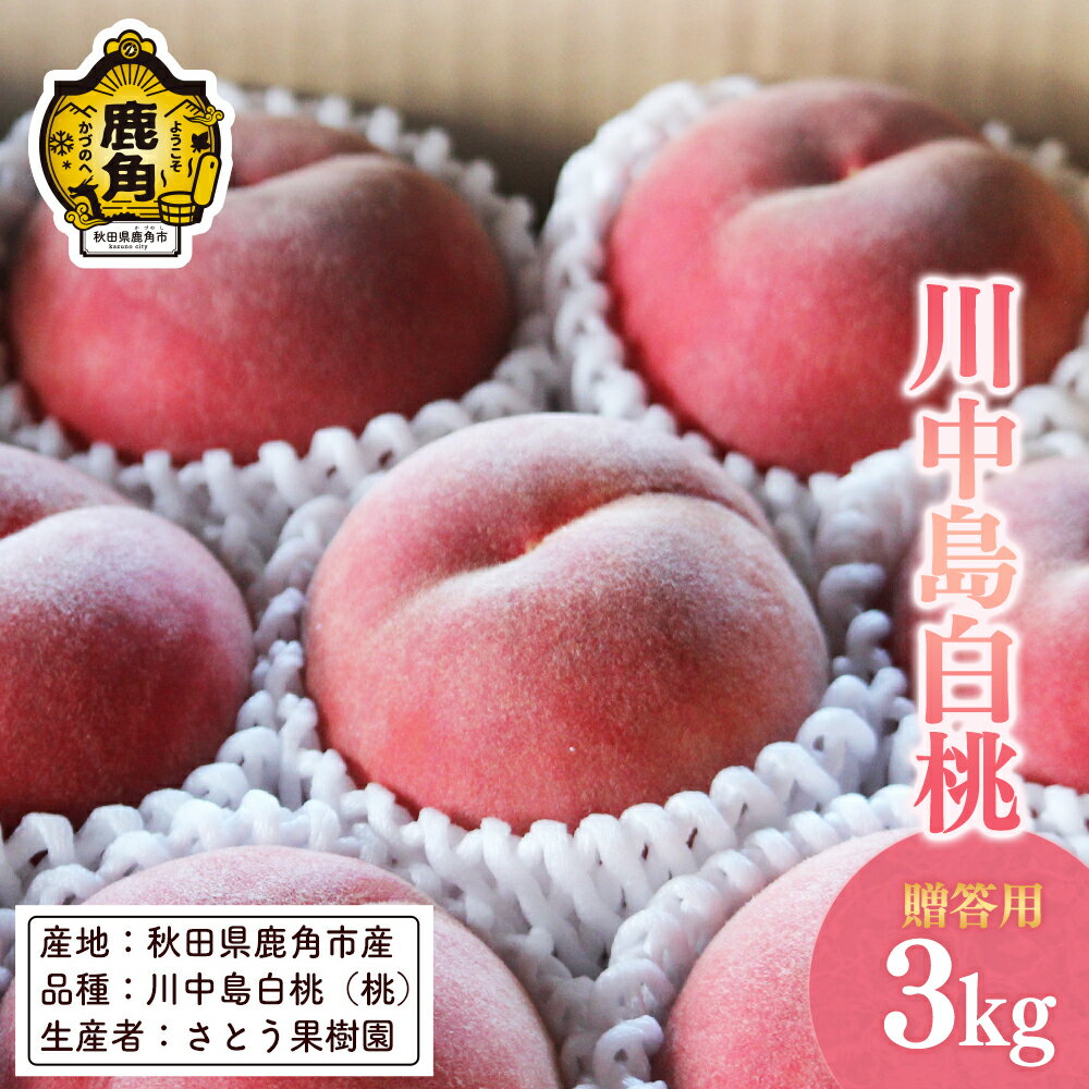 【ふるさと納税】《 先行予約 》 桃 川中島白桃 3kg ( 9～10玉入 ) もも モモ 白桃 川中 完熟 旬 お見舞い 内祝い おすそ分け 完熟 国産桃 お中元 お歳暮 母の日 父の日 贈り物 贈答用 グルメ ギフト 故郷 秋田 あきた 鹿角市 鹿角 送料無料 【さとう果樹園】