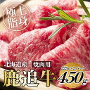 【ふるさと納税】鹿追牛ロース焼肉用（鹿追牛Bセット） 225g×2【 ふるさと納税 人気 おすすめ ランキング 肉 牛肉 牛カルビ 牛ヒレ 牛ロース 牛サーロイン 肉 牛肉 牛レバー 牛ひき肉 牛モモ 牛モツ 北海道 鹿追町 送料無料 】 SKA004