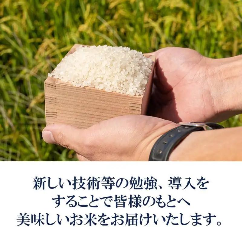 【令和7年産】 馬町さくらファームのつや姫 無洗米 5kg（5kg×1袋）　特別栽培米　山形県鶴岡市　K-737　| 米 つやひめ お米 5キロ コメ こめ ご飯 ごはん ブランド米 米どころ 庄内米