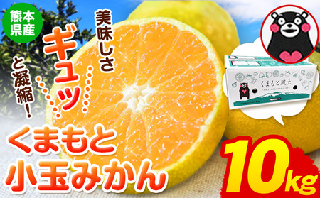 訳あり みかん くまもと小玉みかん 10kg (10kg×1箱) 秋 旬 ちょっと訳あり 不揃い 傷 ご家庭用 SDGs 小玉 たっぷり 熊本県 産 S-3Sサイズ フルーツ 旬 柑橘 長洲町 温州みかん《10月下旬-11月中旬頃出荷》 訳ありみかん 小玉みかん 