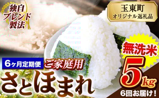 【6ヶ月定期便】熊本県産 さとほまれ 無洗米 ご家庭用 定期便 5kg 《お申込み翌月から出荷》熊本県 玉名郡 玉東町 米 こめ コメ ブレンド米 送料無料