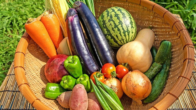 【ふるさと納税】宗像とれたて　野菜・たまごセット【オアシス】_HA0778 送料無料お野菜 卵 宗像市 産直 旬の野菜 詰め合わせ