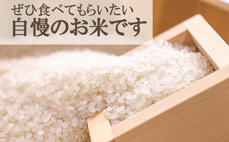 【令和7年産】原農場 にこまる 白米 10kg 精米 熊本県 南関町産 品質そのまま 単一原料米 農家直送 数量限定 コメ