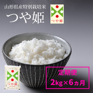 令和7年産【定期便6回】山形産 特別栽培米 つや姫 2kg×6ヶ月(計12kg)  FZ24-304