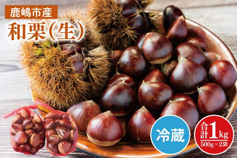 
                  栗 和栗 約 1kg 500g×2袋 茨城県産 生栗 数量限定 産地直送 不揃い マロン 果物 フルーツ モンブラン スイーツ 秋の味覚 栗ご飯 栗きんとん 国産 冷蔵 茨城県 鹿嶋市
                