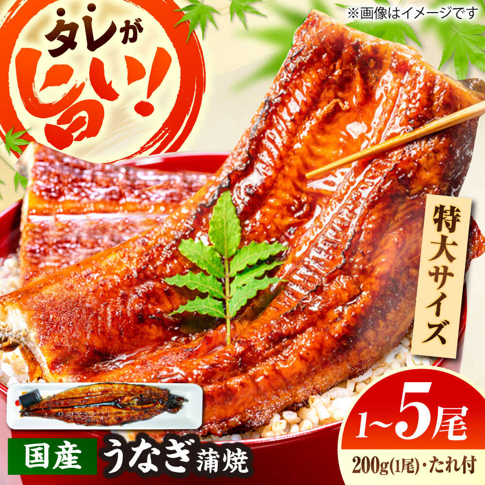 【ふるさと納税】【選べる容量】【うなぎの美味しさはタレで決まる！】うなぎ蒲焼 自慢の味・国産活うなぎ蒲焼（1～5本入）| うなぎ タレ 蒲焼 国産 美味しい うな丼 鰻重 魚 ウナギ 鰻 セット 惣菜 おかず おつまみ 土用の丑の日 島根県雲南市/有限会社石田魚店[AICQ005]