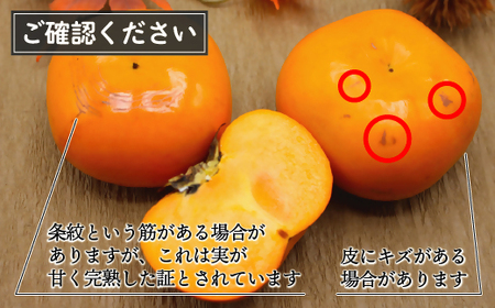 【2024年10～11月発送】秋のフルーツの王様・ブランド柿「秋王」化粧箱　約1.75kg[E2274a]