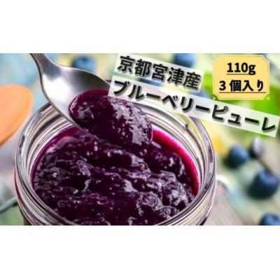 ふるさと納税 宮津市 ブルーベリーピューレ 3個セット(ブルーベリー100%　無糖)