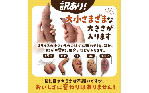 【訳あり】洗いさつまいも(無選別) 10kg 茨城県ひたちなか市産  |  訳あり 採れたて 新物 シルクスイート しるくすいーと・SS～Lサイズ混合 さつまいも 茨城県 サツマイモ 生芋 ほくほく 