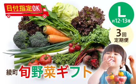【３回定期便】綾町旬野菜ギフト（Lサイズ / 約12-13種）4人以上分 / 野菜 朝どれ 無農薬 減農薬 栽培期間中 有機栽培 産地直送 新鮮 旬 詰め合わせ サラダ 果物 きのこ類 やさい 送料無