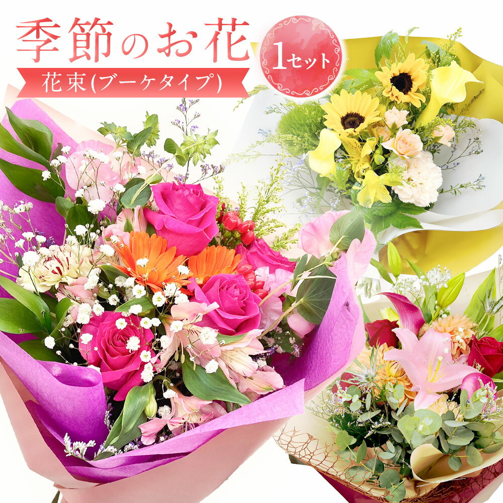 【ふるさと納税】【指定日必須】季節のお花（花束） ｜花 お花 生花 お祝い フラワー ギフト 花束 母の日 バレンタイン ホワイトデー 入学祝い 卒業祝い 歓送迎会 成人式 引越し祝い ひな祭り 入学式 卒業式 メッセージカード 大阪府 阪南市 送料無料