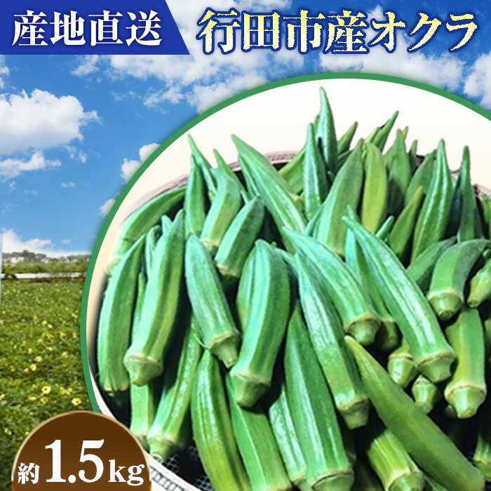 【ふるさと納税】No.396 【産地直送】行田市産オクラ　大容量1500g ／ 甘み サラダ 野菜 栄養 送料無料 埼玉県