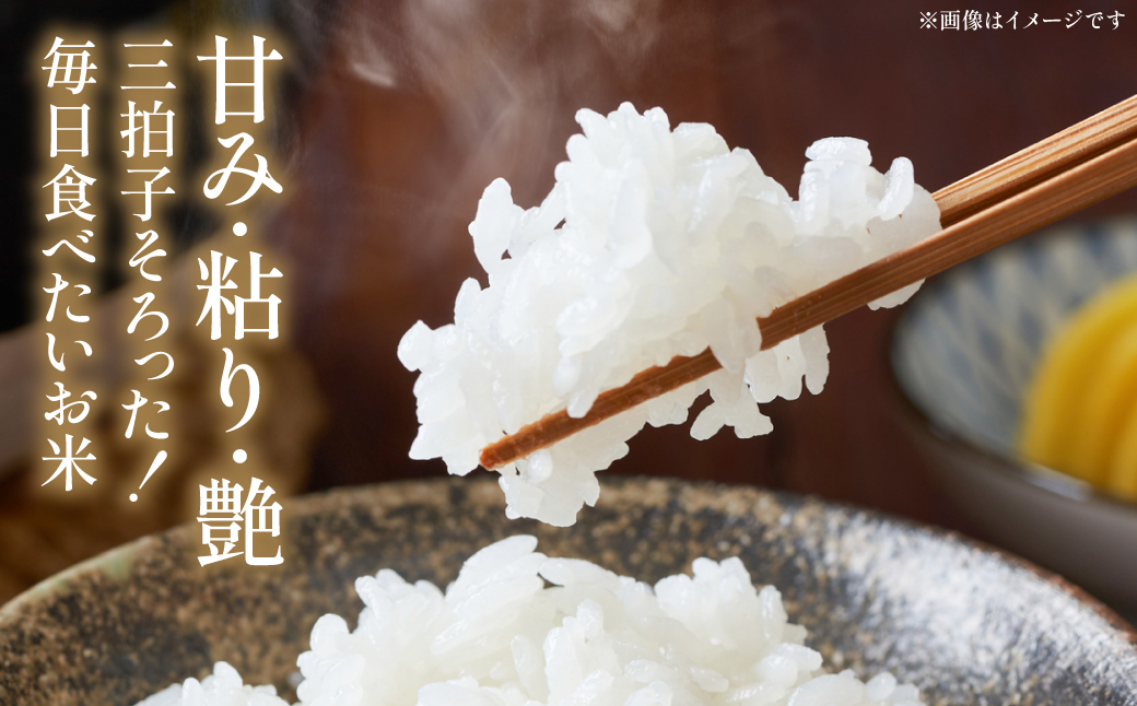 【先行予約】《令和7年産》 ヒノヒカリ 5kg×2袋 合計10kg 熊本県 八代市産 米 お米 精米 白米 国産 【2025年11月下旬より順次発送】