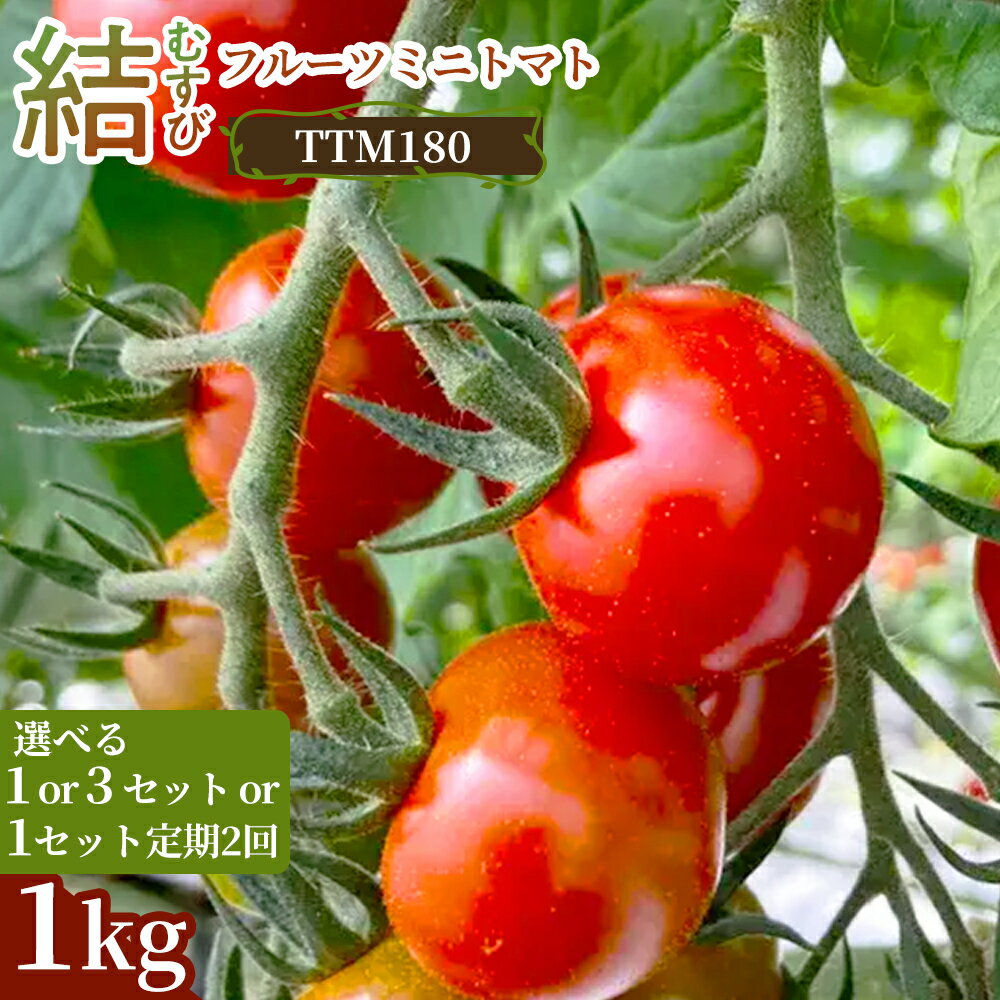 【ふるさと納税】《先行予約》結（むすび）フルーツミニトマト（TTM180）1kg 1セット 3セット 定期便 甘い野菜 デザート感覚 おやつ スイーツ感覚 サラダ用 そのまま食べる 旬 家庭用 贈り物 お取り寄せ 産地直送 愛知県 豊橋市
