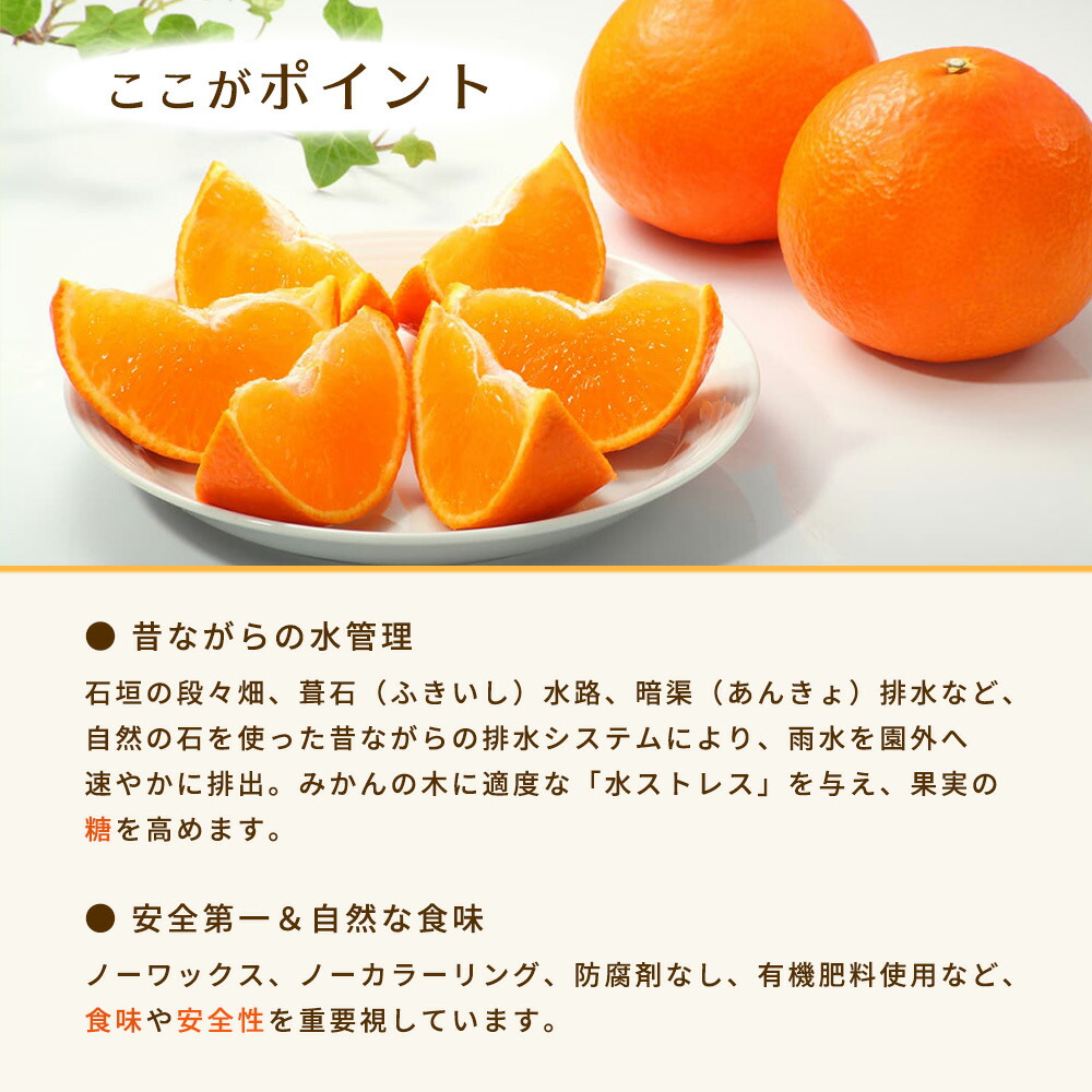 BT6011n_【2025年先行予約】和歌山県有田産 みかん 5kg　L～Sサイズ（おまかせ）
