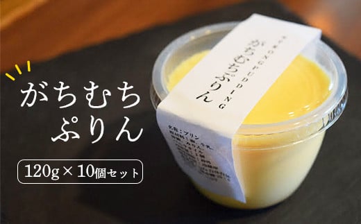 ガチムチプリン120g×10個セット　カラメルなし