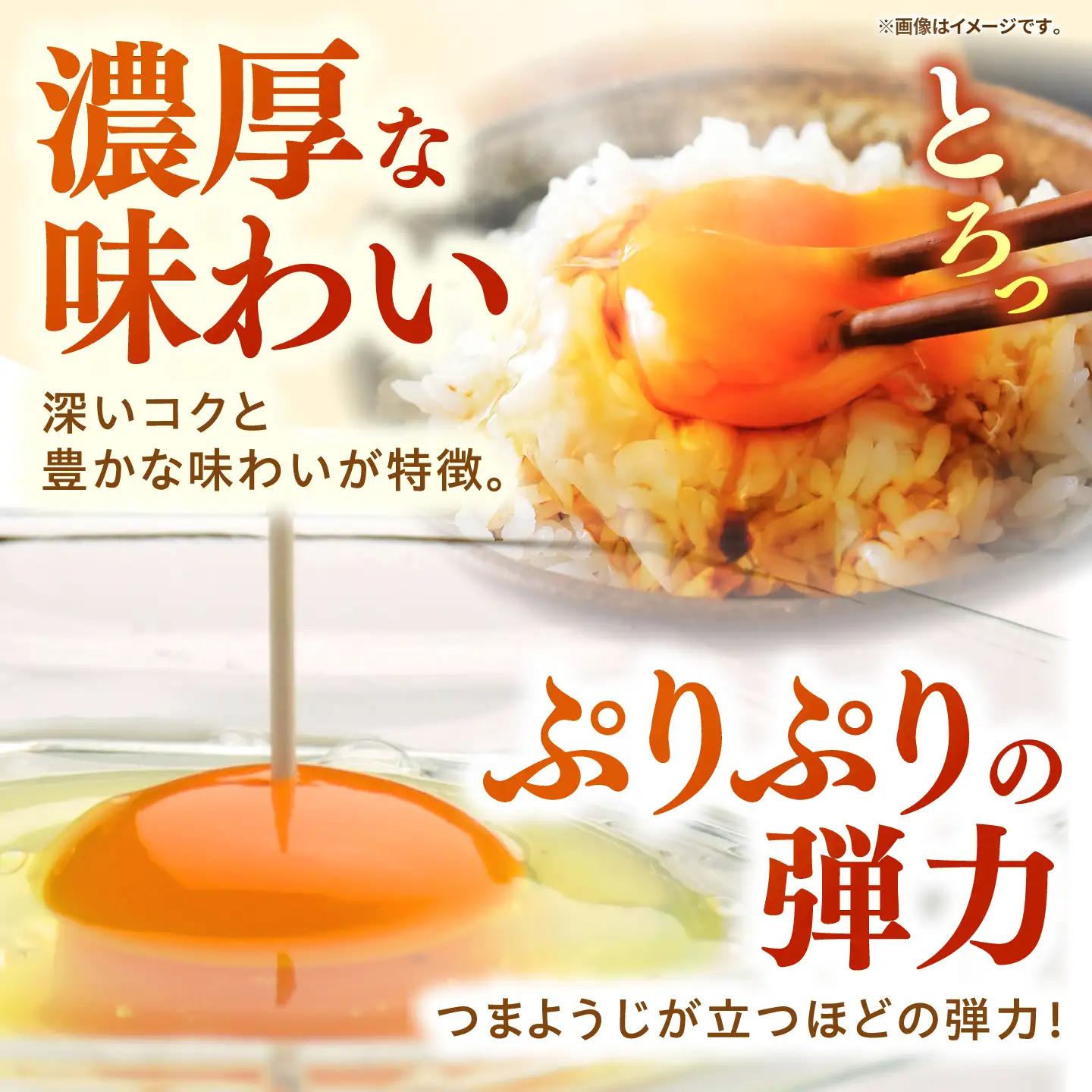 【全6回定期便】特選 素直な恋たまご 50個 《壱岐市》【しまのたまご屋さん】 [JAP024] 卵 たまご 鶏卵 玉子 ギフト 国産 卵かけご飯 たまごかけご飯 のし 定期便[JAP024]