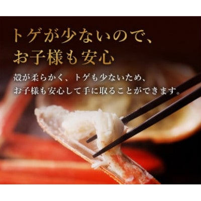 【蟹セレブ】ズワイガニ(紅ズワイガニ)1.8kg箱詰め(600g前後×3杯)【配送不可地域：離島・北海道・沖縄県・東北・関東・信越、北陸・東海・九州】