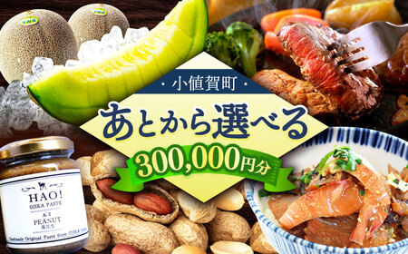 【あとから選べる】小値賀町 ふるさとギフト 30万円分 / あとから選べる あとから寄附 あとからギフト 後から選べる 後から あとからセレクト 駆け込み 先に寄附 30万円 300000円 長崎県 小値賀 [DYZ012]