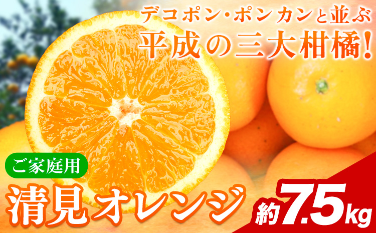 【ご家庭用訳アリ】 紀州有田産清見オレンジ 約7.5kg 株式会社魚鶴商店《2026年3月下旬-4月中旬頃出荷》 和歌山県 日高川町 オレンジ 柑橘 ご家庭用 フルーツ