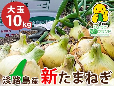 【大玉10㎏】兵庫県認証★特別栽培★淡路島新たまねぎ