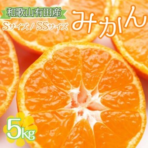 【ご家庭用】和歌山有田みかん約5kg(SS、Sサイズ) ◇ ｜ みかん ミカン mikan 有田みかん s ss 5kg 柑橘 温州ミカン 温州みかん 先行予約 ※北海道・沖縄・離島への配送不可 ※2024年10月中旬～2025年1月下旬頃に順次発送予定