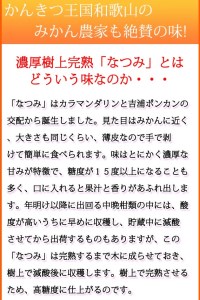 初夏のみかん　なつみ3kg　※2027年4月中旬頃?2027年4月末頃順次発送（お届け日指定不可） / 果物 くだもの フルーツ 柑橘 オレンジ みかん ミカン 有田みかん 【uot753A】