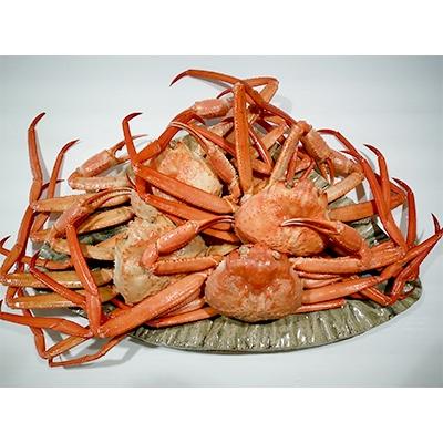ふるさと納税 射水市 【おすすめ】新湊産紅ズワイガニ約2kg(4〜6尾)