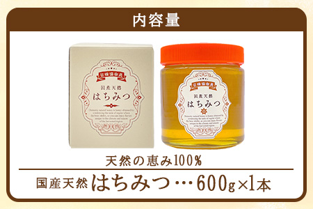 鹿島市産 天然の恵み 100% はちみつ 600g 化粧箱入 B-806 ハチミツ 蜂蜜 ハニー 天然はちみつ 天然蜂蜜 国産