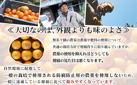＜無茶々園 温州みかん 約7kg＞ 【先行予約】果物 くだもの ミカン 蜜柑 柑橘 フルーツ うんしゅうみかん 選べる内容量 贈り物 ギフト おいしい 期間限定 季節限定 食べて応援 特産品 愛媛県 