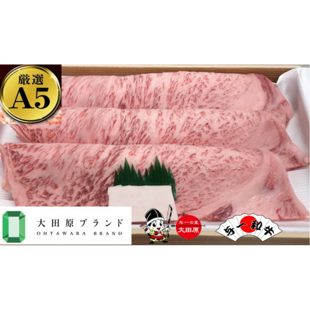 【ふるさと納税】大田原市公式「大田原ブランド」認定第1号「与一和牛」特選焼肉スライス400g | 肉 お肉 にく 食品 人気 おすすめ 送料無料 ギフト